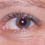 Photo_29